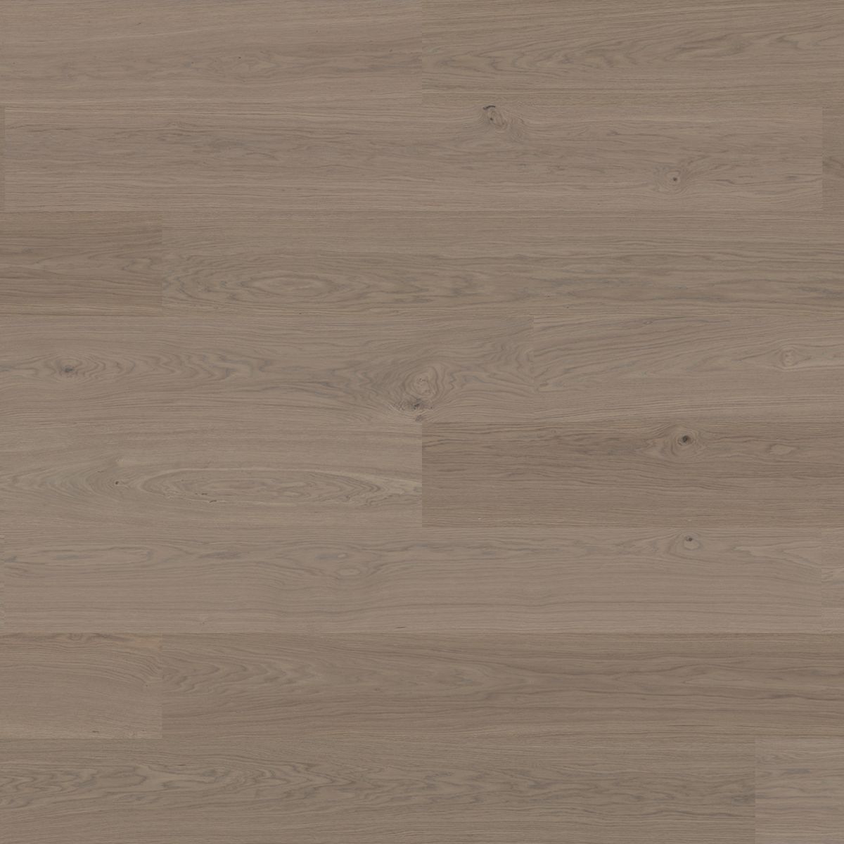 Earth Grey